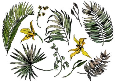 Yeşil tropikal yaprak ve sarı orkide çiçek kümesi. El vektör çizim çekilmiş. Tasarım için izole öğeleri.