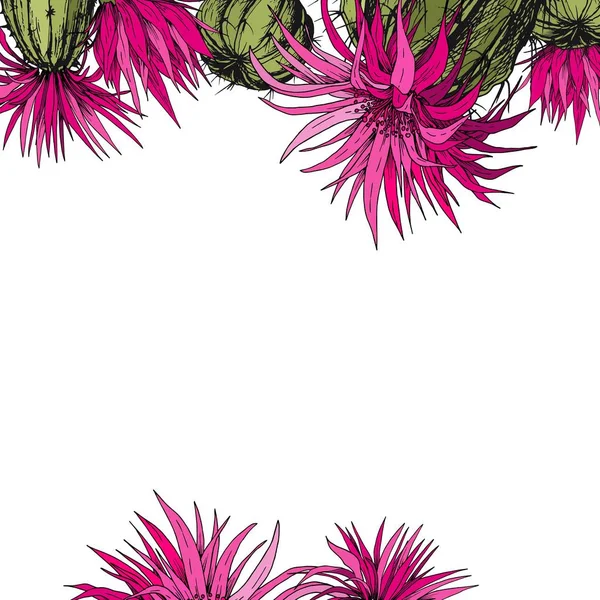 サボテンの植物と花を持つ正方形のカード 手描きの背景イラスト — ストックベクタ