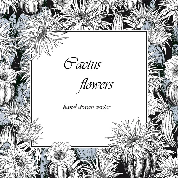 Cadre Carré Avec Plantes Fleurs Cactus Vecteur Noir Blanc — Image vectorielle