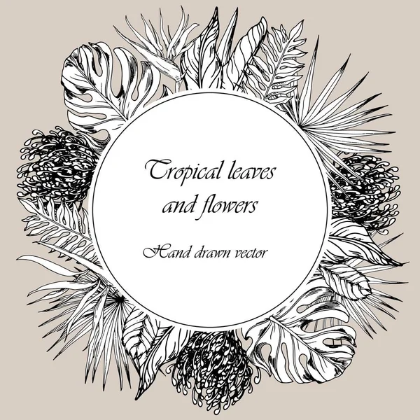 Modèle Carte Avec Des Plantes Tropicales Exotiques Illustration Vectorielle Dessinée — Image vectorielle