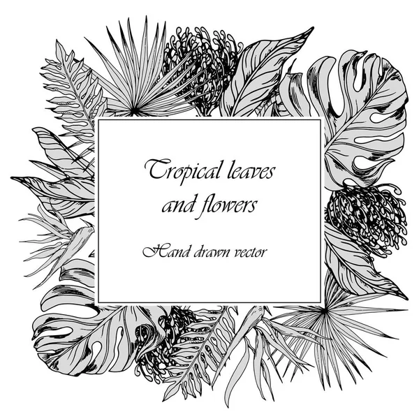 Kartenvorlage Mit Tropischen Blättern Und Blüten Schwarz Weißer Handgezeichneter Vektor — Stockvektor