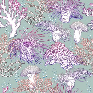 Yosunlar ve mercan ile Seamless modeli. Açık mavi renkli vektör.