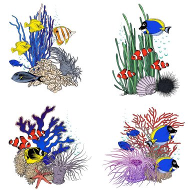 Colorful tropical fish and underwater creatures. Hand drawn vector. Isolated compositions for your design. vector Colorful tropical fish and underwater creatures. Hand drawn vector. Isolated compositions for your design. vector