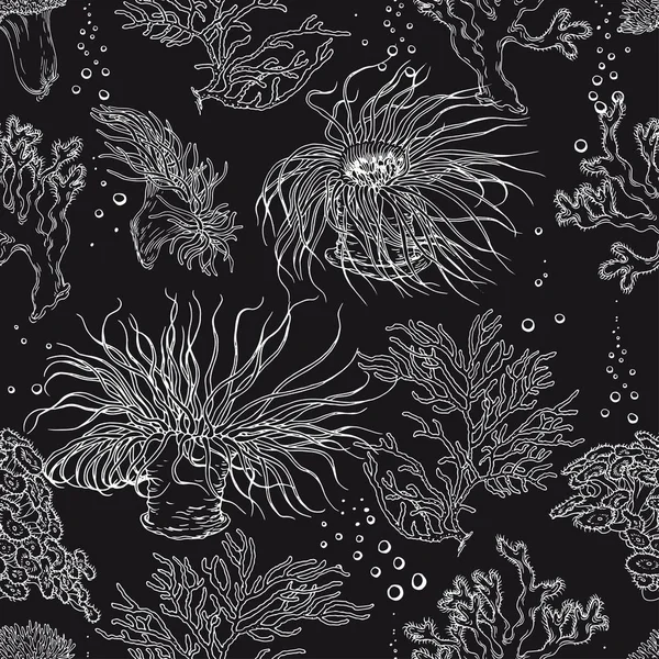 无缝的花纹与珊瑚和海藻 黑色和白色向量例证 — 图库矢量图片