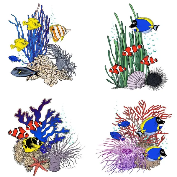 五颜六色的热带鱼和水下生物 手绘向量 为您的设计提供独立的组合 — 图库矢量图片