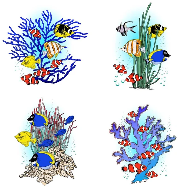 Poissons Tropicaux Avec Corail Algues Vecteur Dessiné Main Des Compositions — Image vectorielle