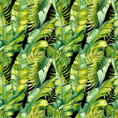 Tropikal muz yaprakları ile Dikişsiz desen. Siyah arka planda suluboya.