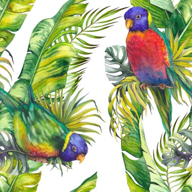 Renkli papağan ve tropikal yaprakları ile Dikişsiz desen. Beyaz arka planda suluboya.