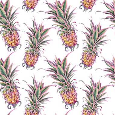 Pembe ananas ile Dikişsiz desen, ananas Bracteatus bromeliad bitki, süs varilli ananas. Beyaz arka planda suluboya.