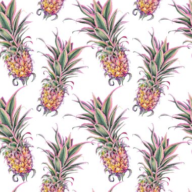 Seamless pattern with pink pineapple, Ananas Bracteatus bromeliad plant, Ornamental variegated pineapple. Watercolor on white background. clipart