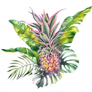 Tropikal monstera ve muz yaprakları ile Dekoratif pembe ananas. Beyaz arka planda suluboya.
