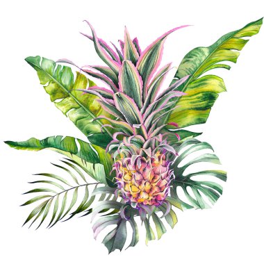 Decorative pink pineapple with tropical monstera and banana leaves.  Watercolor on white background. clipart