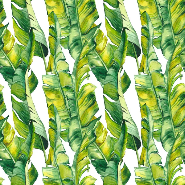 Naadloos Patroon Met Groene Tropische Bananenbladeren Aquarel Illustratie Witte Achtergrond — Stockfoto
