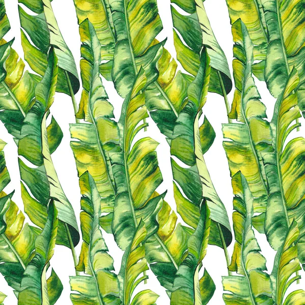 Seamless pattern with green tropical banana leaves. Watercolor illustration on white background.