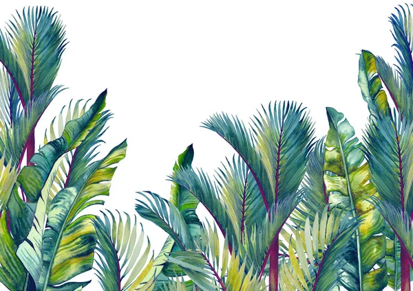 热带棕榈树和香蕉叶 隔离的水彩背景 — 图库照片