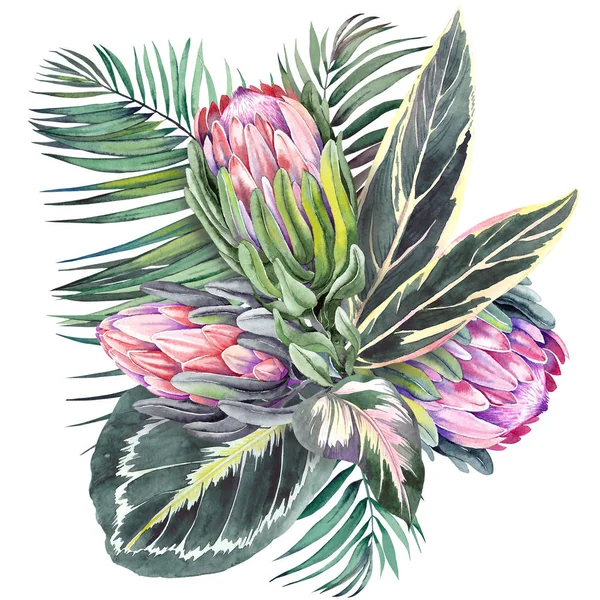 Tropická Kytice Exotickými Protea Květinami Calatheou Palmovými Listy Akvarel Bílém — Stock fotografie