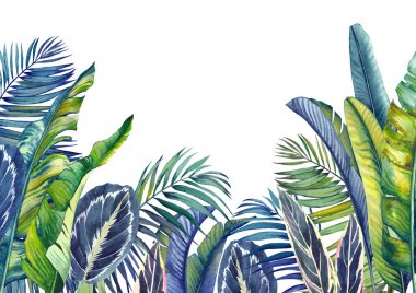 Tropikal palmiye, muz ve calathea yaprakları ile Jungle duvar kağıdı. İzole suluboya arka plan. 