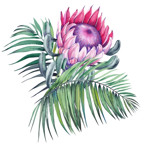 Egzotik Protea Çiçek Palmiye Yaprakları Ile Tropikal Buket Beyaz Arka — Stok fotoğraf