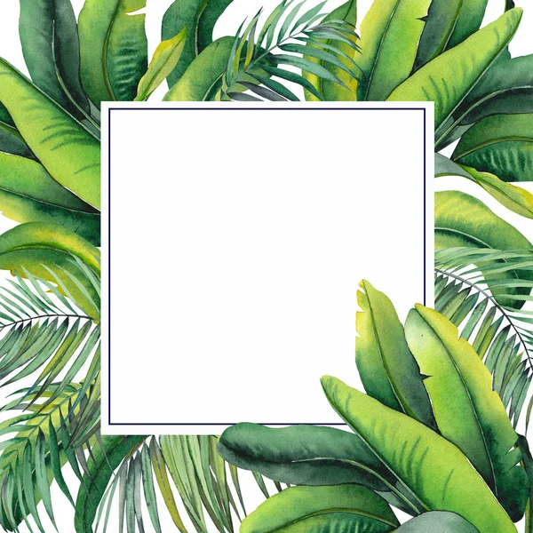 Tropical frame with green banana and palm leaves. Watercolor on white background.