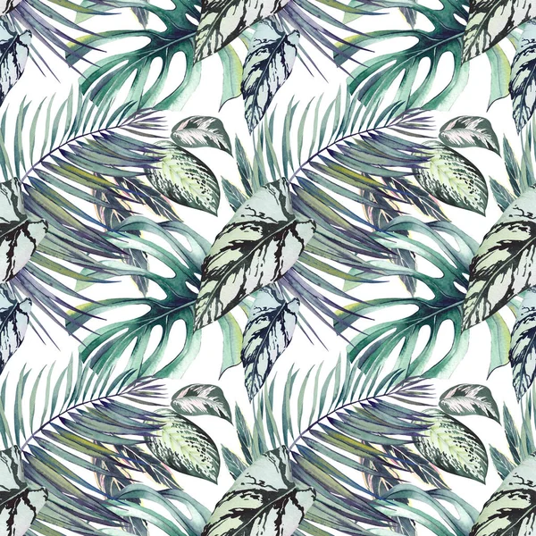 Seamless pattern with exotic calathea, monstera and palm leaves. Watercolor on white background.