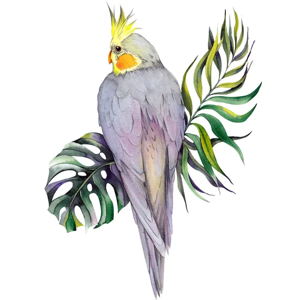 Uccello Cacatua Seduto Palme Tropicali Foglie Monstera Illustrazione Acquerello Sfondo — Foto Stock