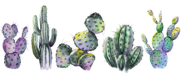 Ensemble Plantes Cactus Vert Illustration Aquarelle Sur Fond Blanc Eléments — Photo