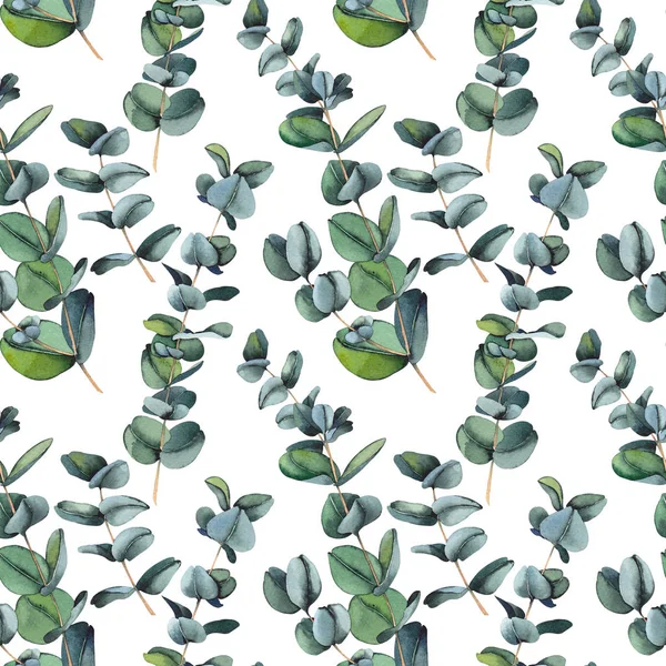 Yeşil Okaliptüs Yaprakları Ile Dikişsiz Desen Beyaz Arka Planda Suluboya — Stok fotoğraf