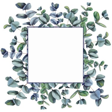 Yeşil okaliptüs yaprakları ile Çiçek kare çerçeve. Beyaz arka planda suluboya illüstrasyon.