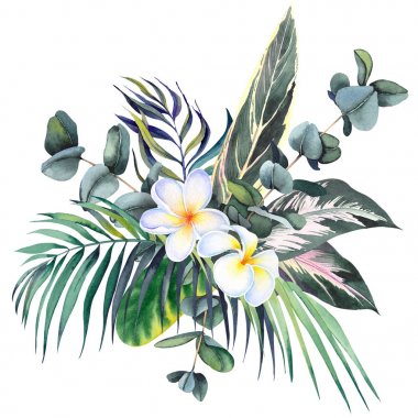 Plumeria frangipani çiçek, palmiye, okaliptüs ve calathea yaprakları ile Tropikal buket. Beyaz arka planda suluboya. 