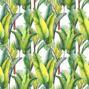 Yeşil palmiye ağaçları ve muz yaprakları ile dikişsiz desen. Beyaz arka planda suluboya.