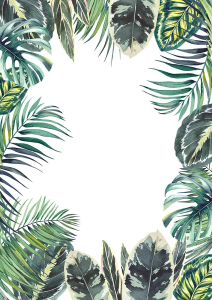 Tropical Frame Exotic Calathea Leaves Monstera Palm Branches Watercolor Illustration — Stock Photo, Image