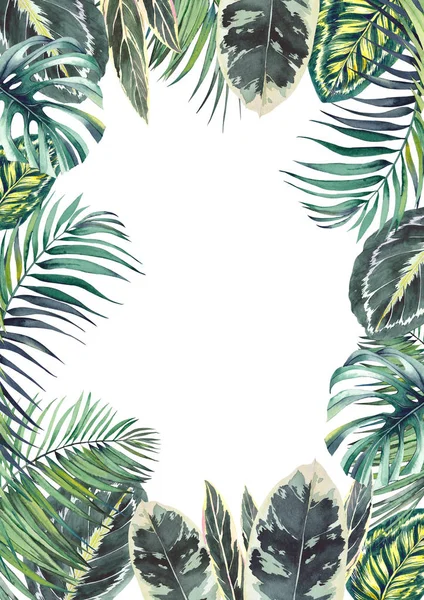 Tropical frame with exotic Calathea leaves, monstera and palm branches. Watercolor illustration on white background.