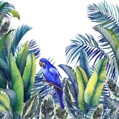 Mavi macaw papağan, palmiye ağaçları, muz ve calathea yaprakları ile Tropikal kart. Beyaz arka planda suluboya illüstrasyon.