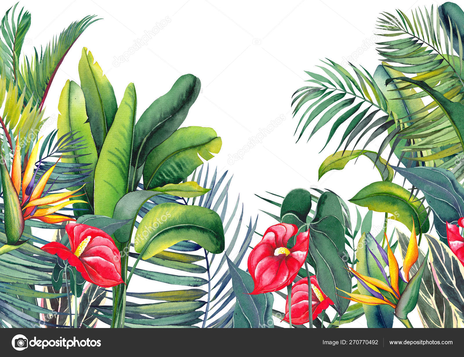 Tropical Wallpaper Red Flamingo Flowers Exotic Strelitzia Palm Trees Banana Stock Photo Image By C Jeannadraw