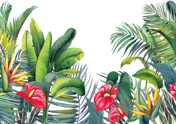 Tropikalne Tapety Czerwonymi Kwiatami Flaminga Egzotyczne Strelitzia Palmy Liście Bananów — Zdjęcie stockowe