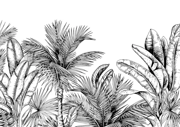 Tropical Card Palm Trees Banana Leaves Black White Hand Drawn — Stock Vector