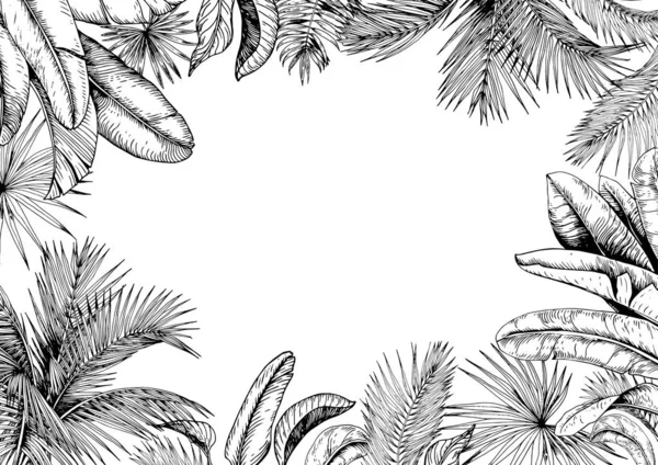 Trópusi Váz Pálma Banánlevelekkel Fekete Fehér Kézzel Rajzolt Vektoros Illusztráció — Stock Vector