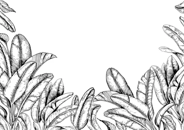 Carte Tropicale Aux Feuilles Banane Noir Blanc Illustration Vectorielle Dessinée — Image vectorielle