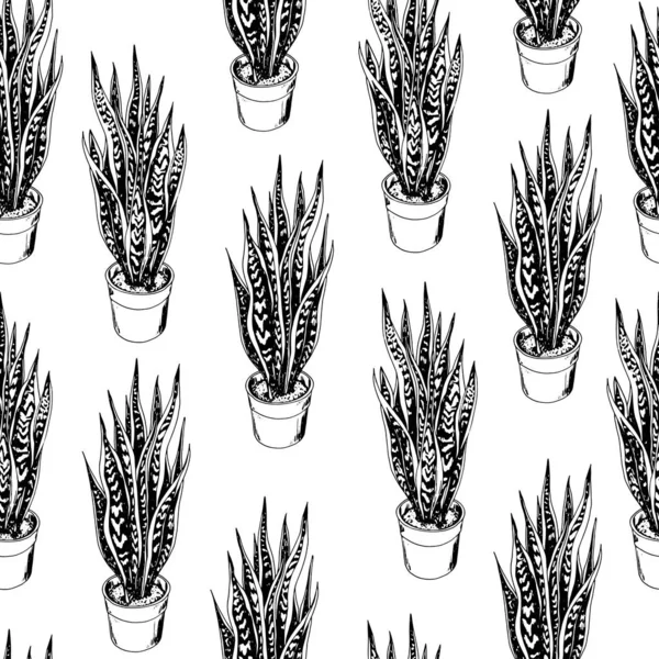 Modèle Sans Couture Avec Des Plantes Serpent Laurentii Pot Sansevieria — Image vectorielle