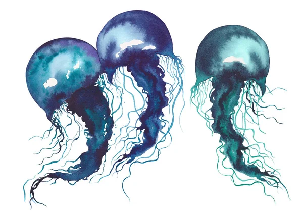 Uppsättning Blå Jellyfishes Akvarell Illustration Vit Bakgrund — Stockfoto