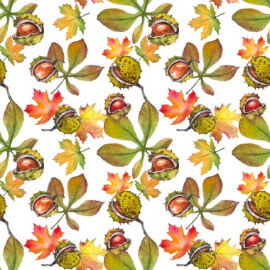 Kestane ve renkli sonbahar yaprakları ile dikişsiz desen. Beyaz arka planda suluboya.