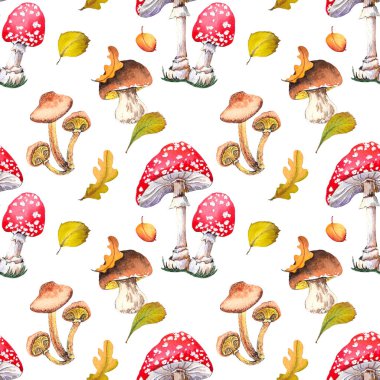 Sinek agarik mantar, toadstools, boletus mantar ve yaprakları ile dikişsiz desen. Orman illüstrasyonu. Beyaz arka planda suluboya.