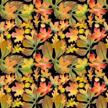 Renkli meşe, akçaağaç ve kestane yaprakları ile dikişsiz desen. Siyah arka plan üzerine suluboya illüstrasyon.