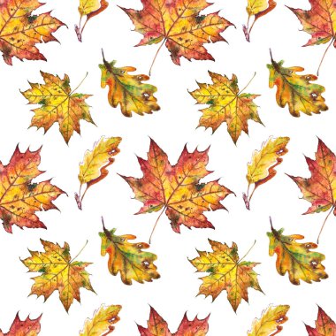 Renkli meşe ve akçaağaç yaprakları ile Dikişsiz desen. Beyaz arka planda suluboya illüstrasyon.