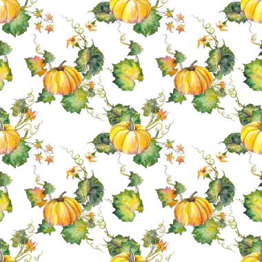 Kabaklar, yapraklar ve çiçekler ile dikişsiz desen. Beyaz arka planda suluboya illüstrasyon.