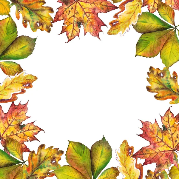 方卡与五颜六色的秋叶 白色背景上的水彩插图 — 图库照片