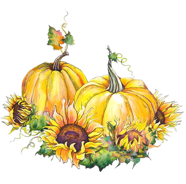 Autumn Pumpkins Sunflowers Watercolor Illustration Isolated White Background — Stock Photo, Image