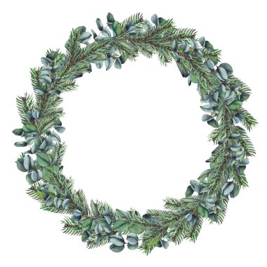 Okaliptüs ve çam dalları ile Noel çelenk. Beyaz arka planda izole suluboya illüstrasyon.