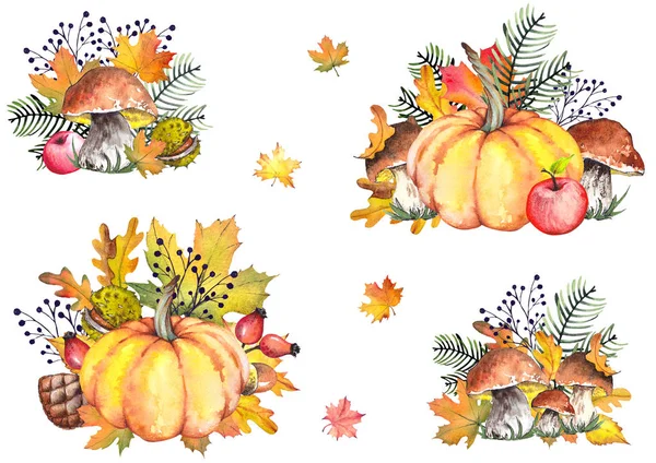 Illustrations Automne Avec Citrouilles Pommes Champignons Branches Pin Feuilles Colorées — Photo