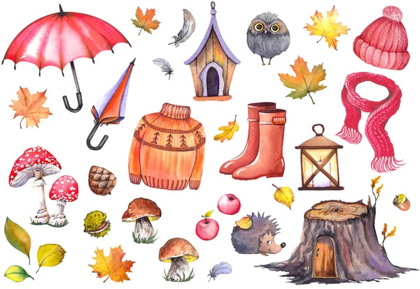 Herbstliche Illustration Von Regenschirmen Strickbekleidung Gummistiefeln Äpfeln Pilzen Niedlicher Eule — Stockfoto